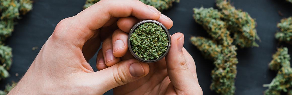 What's Going on with Cannabis Companies' Stocks and Why?