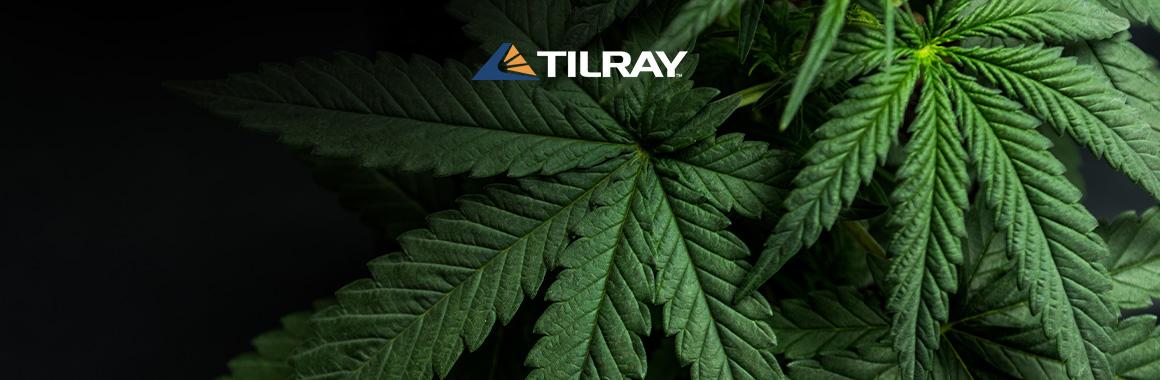 Tilray Stocks: Leaping Up and Falling Down