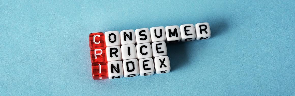 What Is Consumer Price Index and How to Use It in Forex?