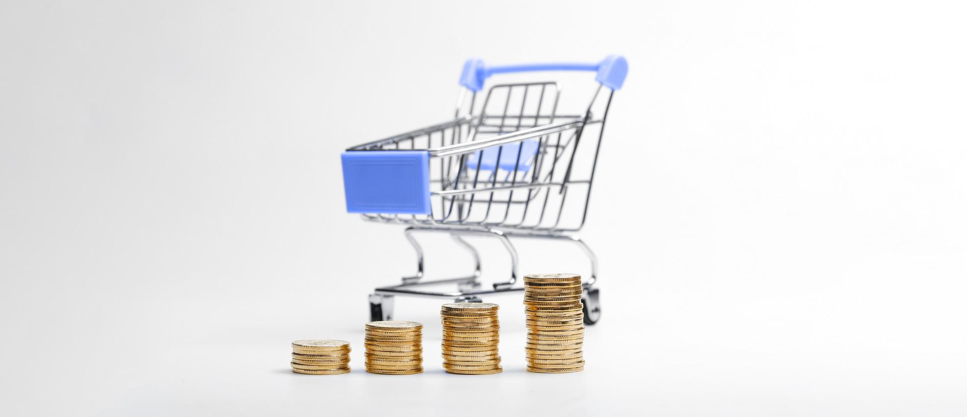 What Is Inflation: Reasons and Consequences
