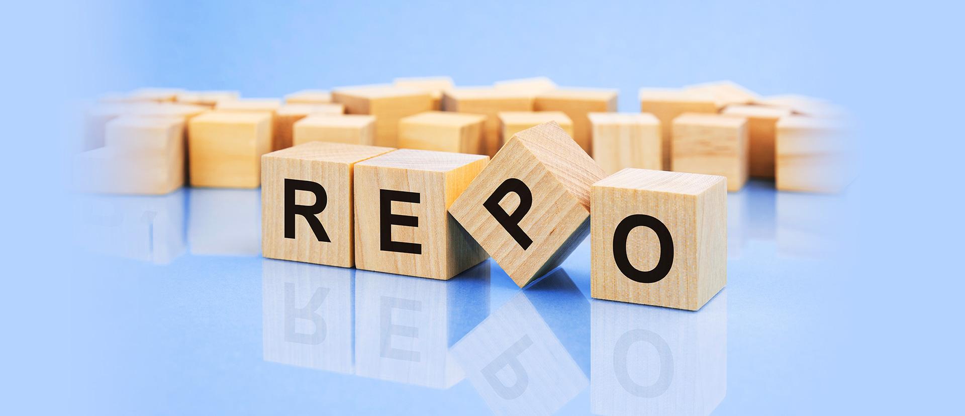 What One Needs to Know about REPO