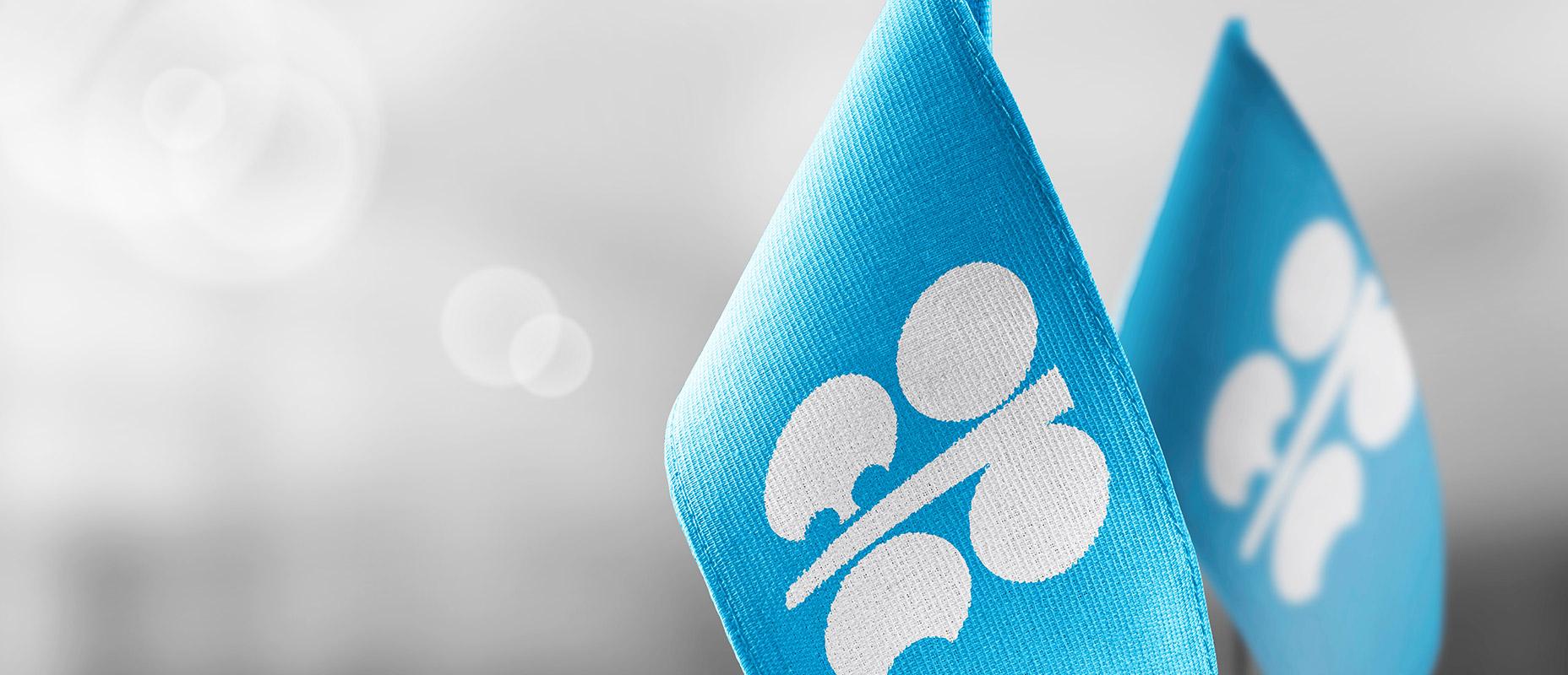 What is OPEC, and How It Influences Crude Oil Prices
