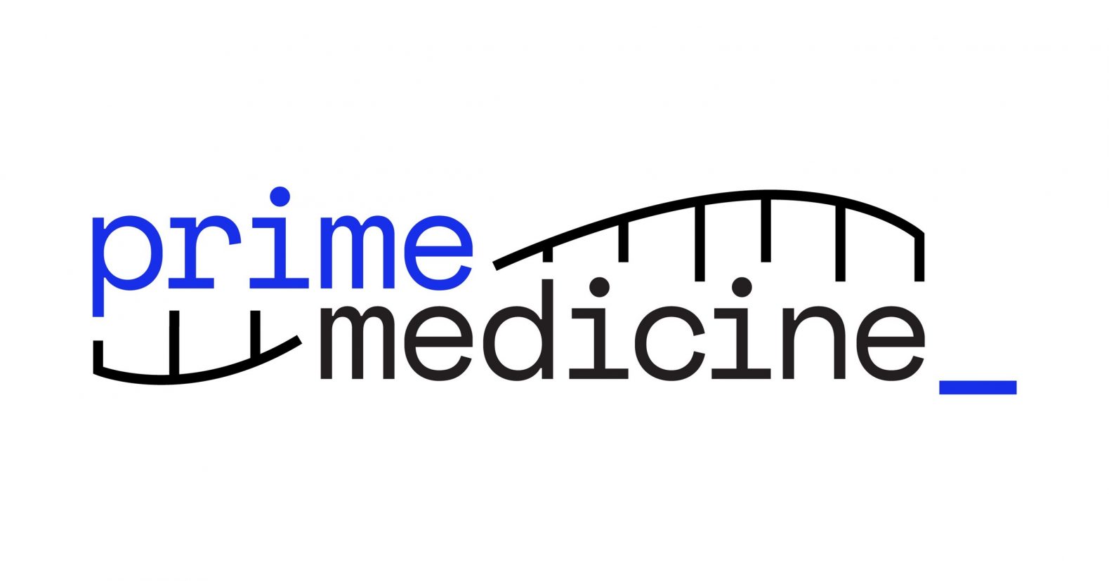 IPO de Prime Medicine: la mayor salida a bolsa de 2022