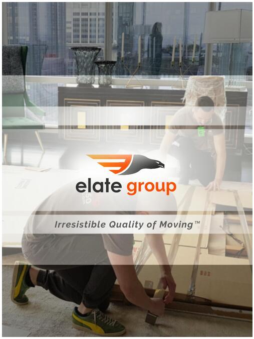 Un resumen sobre Elate Group