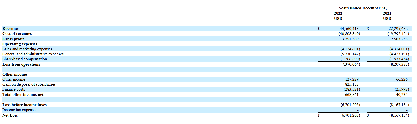 Rendimiento financiero de WeBuy Global Ltd