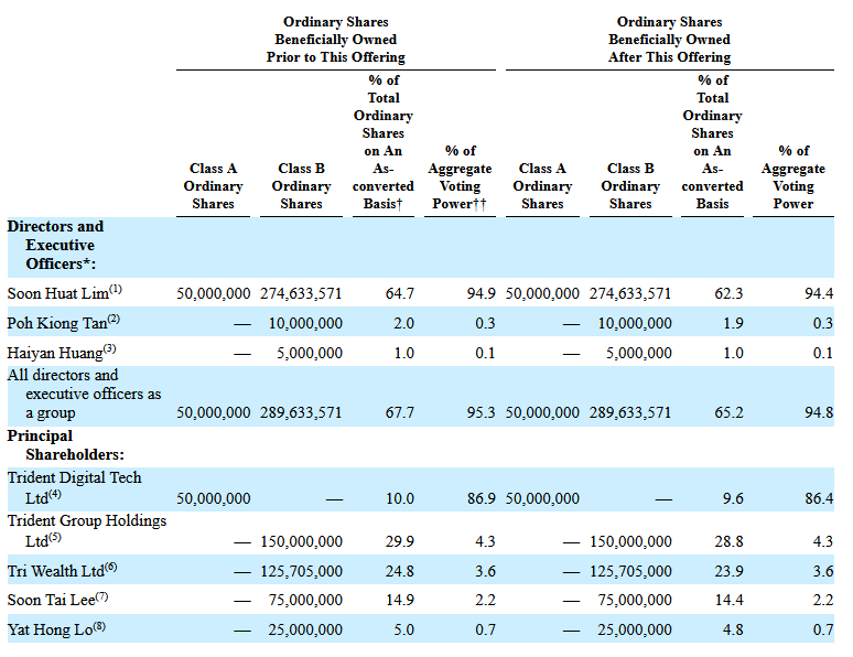 Estructura de propietarios de Trident Digital Tech Holdings Ltd