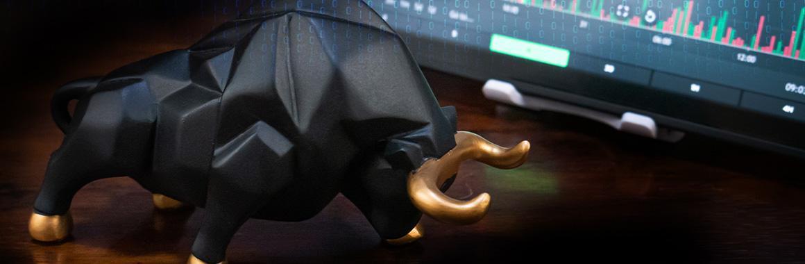 ¿Para qué sirven las cuentas de cent en forex?